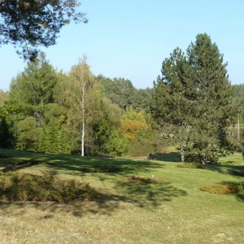 Arboretum w Zielonce