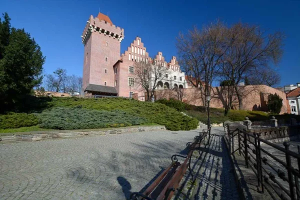 Zamek Przemysła w Poznaniu