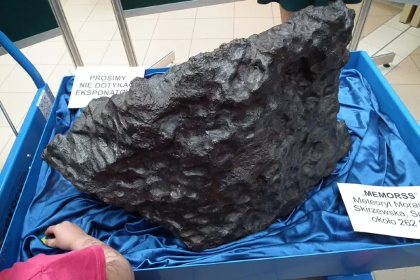 Meteoryt Morasko 261kg
